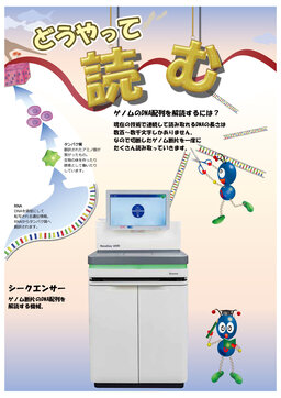 3_解析する-20190926.jpg