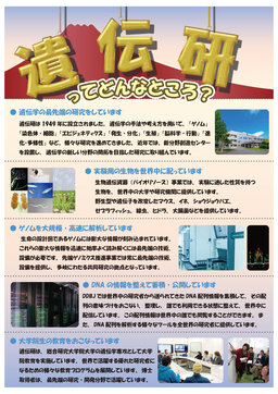 1_遺伝研ってどんなところ_togo.jpg