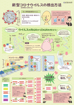 A4_PCR_kakunin2-1.jpg