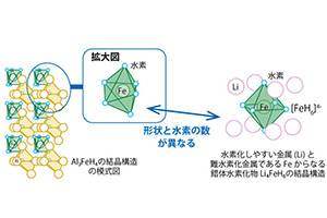 研究成果