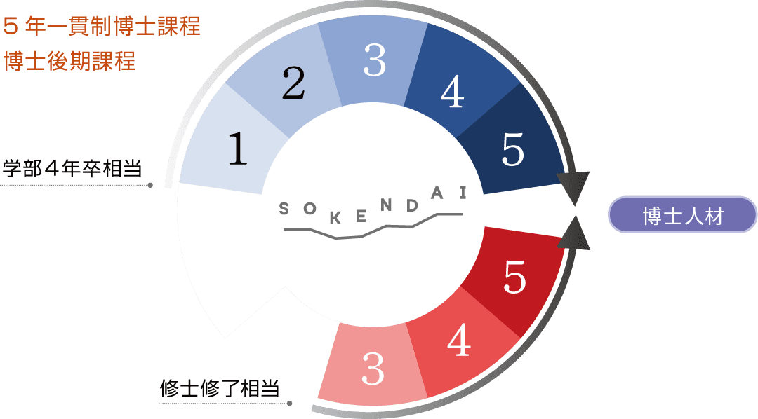 5年一貫制博士課程と博士後期課程